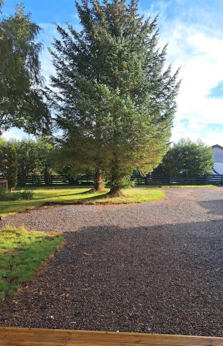Little Slioch Cottage- A Break From City Life Avoch エクステリア 写真
